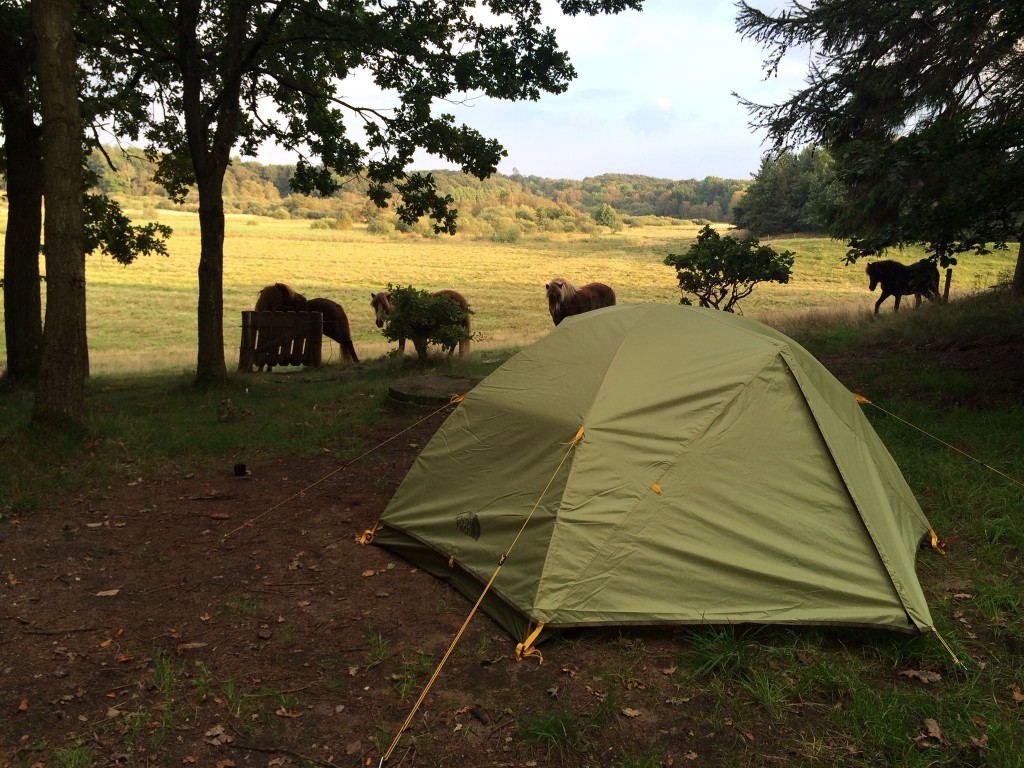 I telt på lejrpladsen